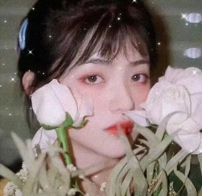 卡美洛 海报
