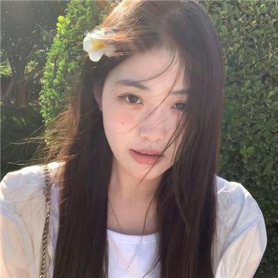 黑眉蚊 海报